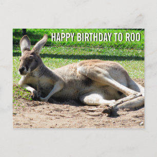 Kangaroo Grattis på födelsedagen till Roo Postcard Vykort