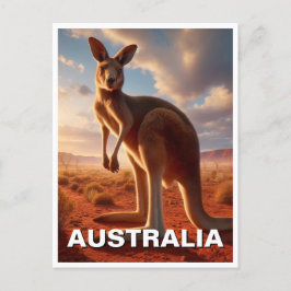 Kangaroo i Outback Australia Vykort