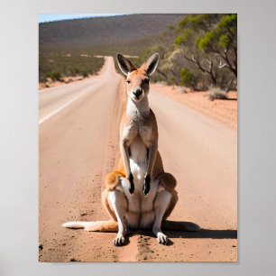 Kangaroo in Outback Poster