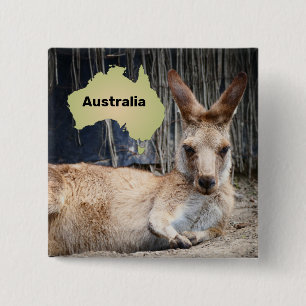 Kangaroo Knapp