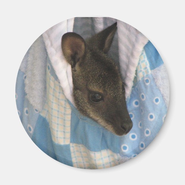 Kangaroo Magnet (Framsidan)