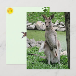 Kangaroo med Joey Postcard Helg Vykort