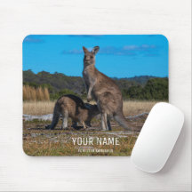 Kangaroo med sjuksköterska i baby joey Tasmania Au
