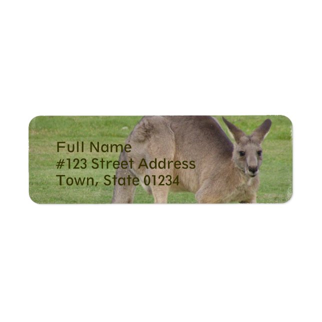 Kangaroo-mejseletikett Returadress Etikett (Framsidan)