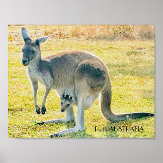 Kangaroo och Baby Poster