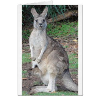Kangaroo och Joey Hälsningskort