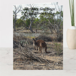 Kangaroo på Billabong, jumbo Birthday Card, Kort