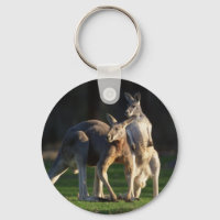 Kangaroo Pair