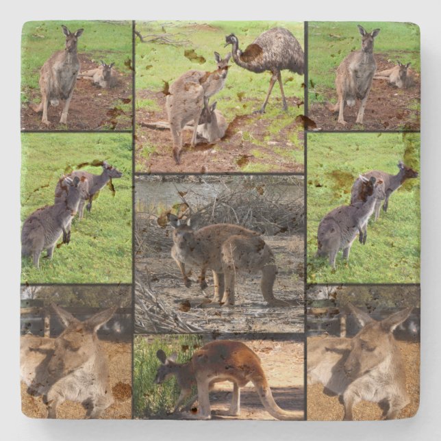 Kangaroo Photo Collage Stenunderlägg (Framsidan)