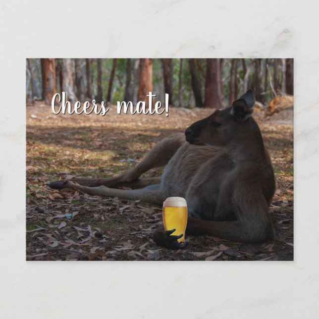Kangaroo Relaxing with Beer Australia Funny Vykort (Framsida)