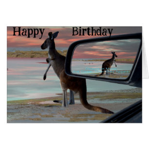 Kangaroo Seaside Breezes Illusion Art. Hälsningskort