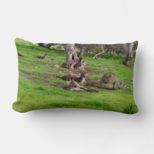 Kangaroo Siesta, Lumbar Cushion Lumbarkudde