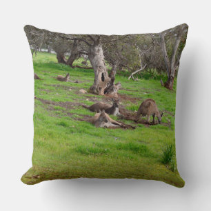 Kangaroo Siesta, Stor Throw Cushion. Kudde