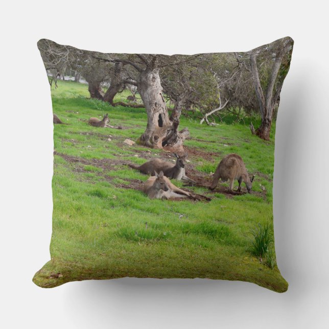 Kangaroo Siesta, Stor Throw Cushion. Kudde (Framsida)