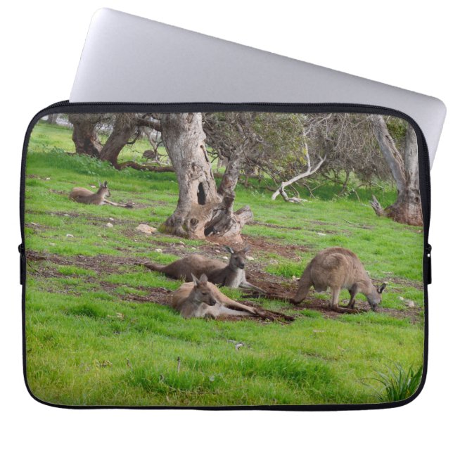 Kangaroo Siesta Time Laptop Sleeve (Framsidan)