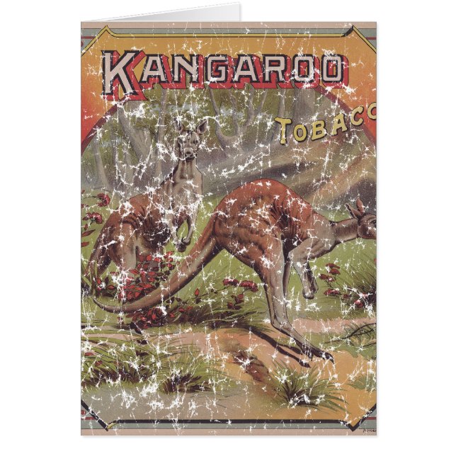 Kangaroo Tobacco 1900 Hälsningskort (Framsidan)