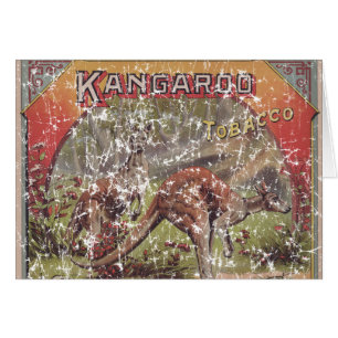 Kangaroo Tobacco 1900 - nödlidande Hälsningskort