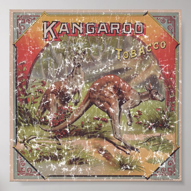 Kangaroo Tobacco 1900 Poster (Framsidan)