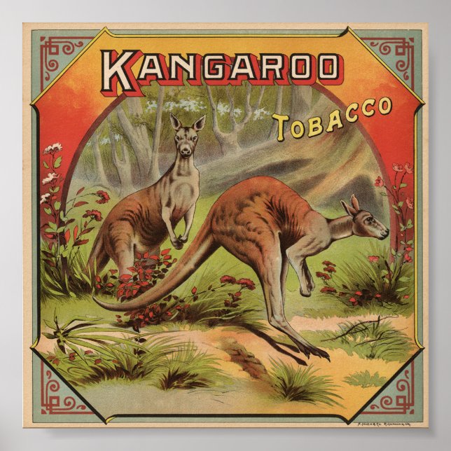 Kangaroo Tobacco 1900 Poster (Framsidan)