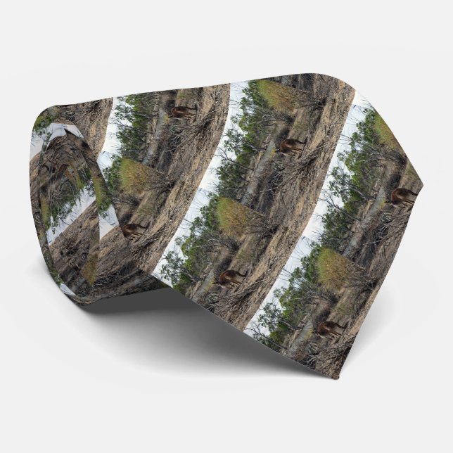 Kangaroo under tiden på Billabong. Slips (Rullad)