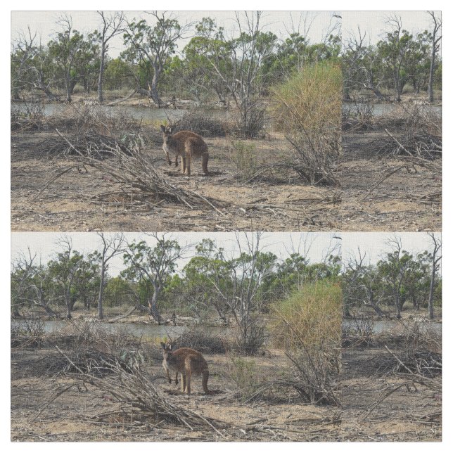 Kangaroo under tiden på Billabong. Tyg (Närbild)
