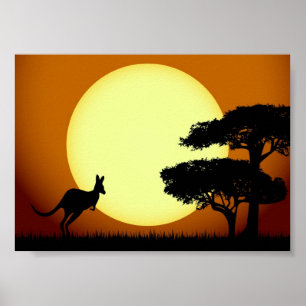 Kangaroo vid solnedgång poster