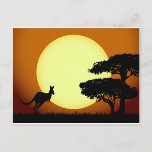 Kangaroo vid solnedgång vykort