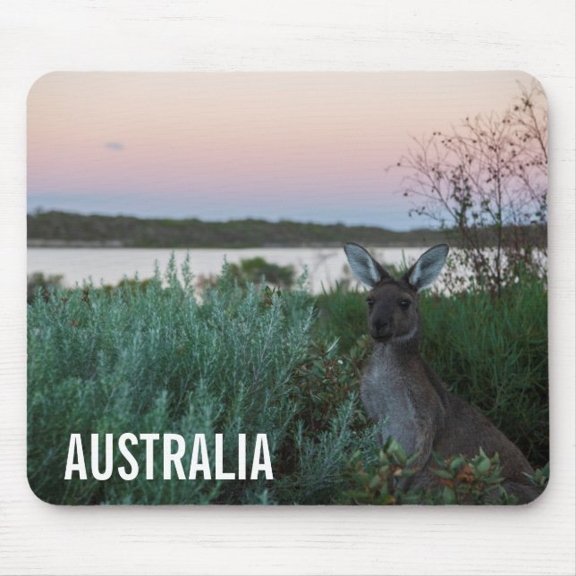 Kangaroo Wildlife Sunset Sjö Australia Musmatta (Framsidan)