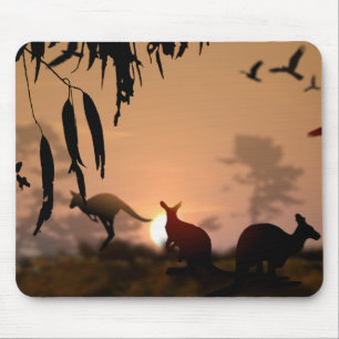 Kangaroos Musmatta
