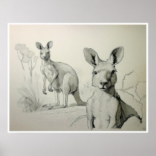 Kangaroos Teckning - Art Print Poster