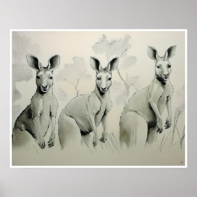 Kangaroos Teckning - Art Print Poster (Framsidan)