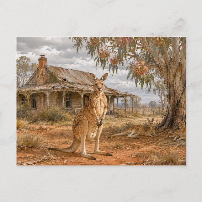 Kangaroos under gumtree farmhouse  vykort (Framsida)