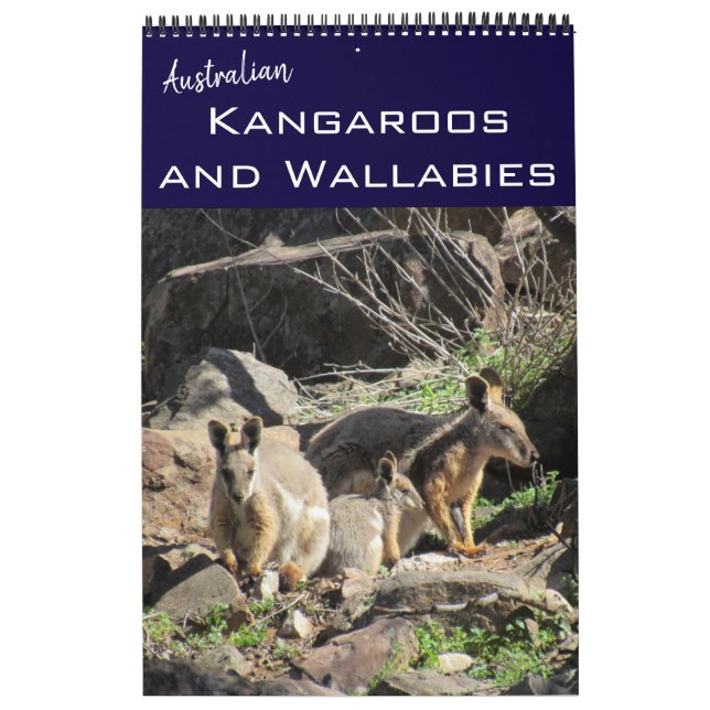 Kangaroos wallabies 2025 kalender (Omslag)