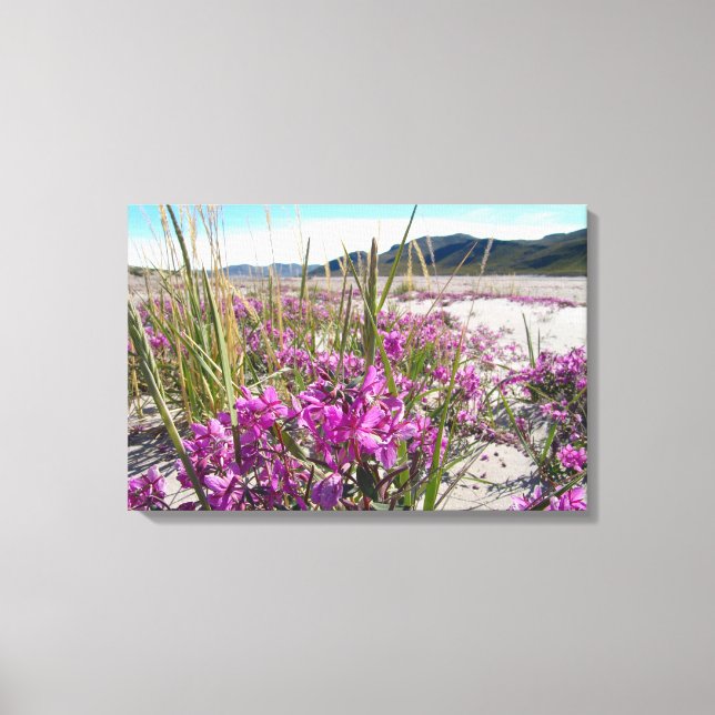 Kangerlussuaq Grönland Canvastryck (Framsida)