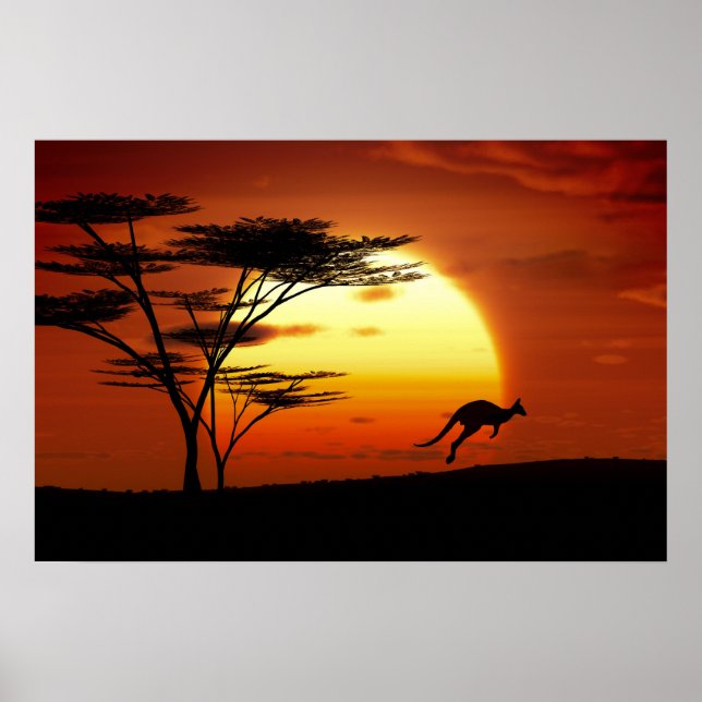 kangoroo vid solnedgång poster (Framsidan)