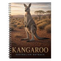 Känguru Australiens Outback Vilda djur DJUR