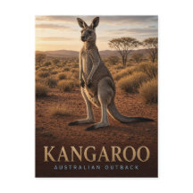 Känguru Australiensiska Outback Vilda Djur DJUR