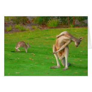 känguru & känguruunge hälsningskort