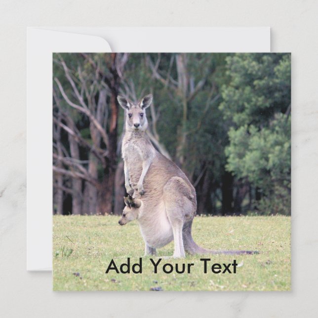 Känguru mamma med bebis joey i sin pung inbjudningar (Framsida)