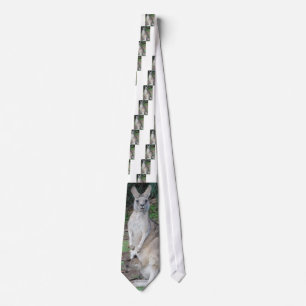 Känguru och känguruunge slips