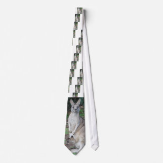 Känguru och känguruunge slips