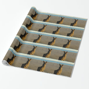 Känguru Presentpapper
