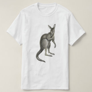 Känguru skiss design grafisk t-shirt