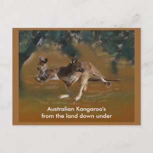 Känguru vykort