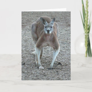 Kängurujul Helgkort