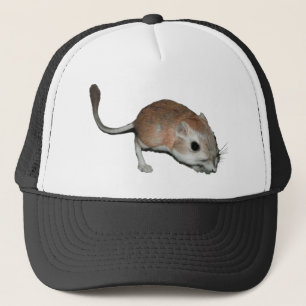 Kängururåtta Keps