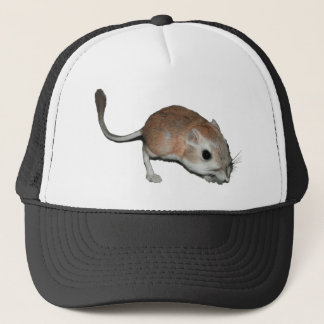 Kängururåtta Keps