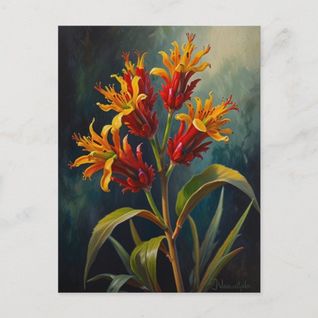 Kängurus klor blommor vykort (Framsida)