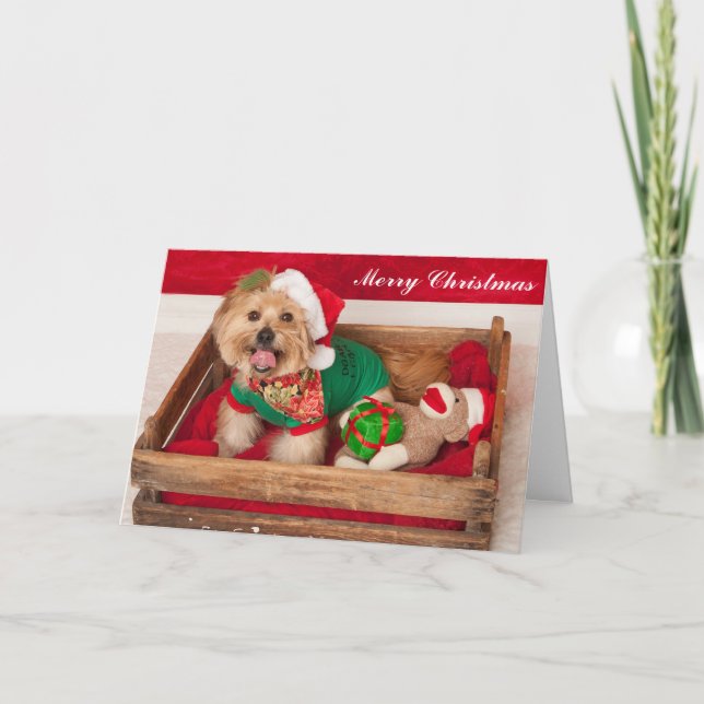 Känguruunge önskemål alla god jul helgkort (Framsida)