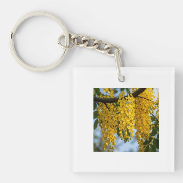 Kanikonna Golden Shower Tree Botanisk Enkelhet (Framsidan)